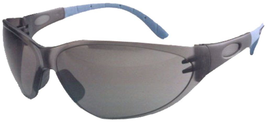 ARTILUX Schutzbrille, Arty 260 smoke,  SB-Pack